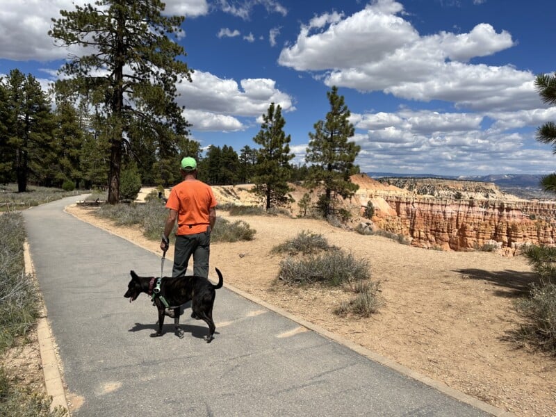 Man walking a dog on the paved Rim Trail at Bryce Canyon National Park, UT