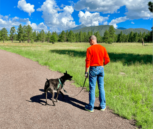Pet Friendly Flagstaff: What To Do, Where To Stay, Places To Eat