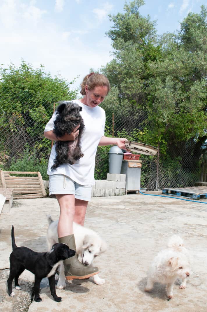 Woman at a pet boarding facility feeding the dogs