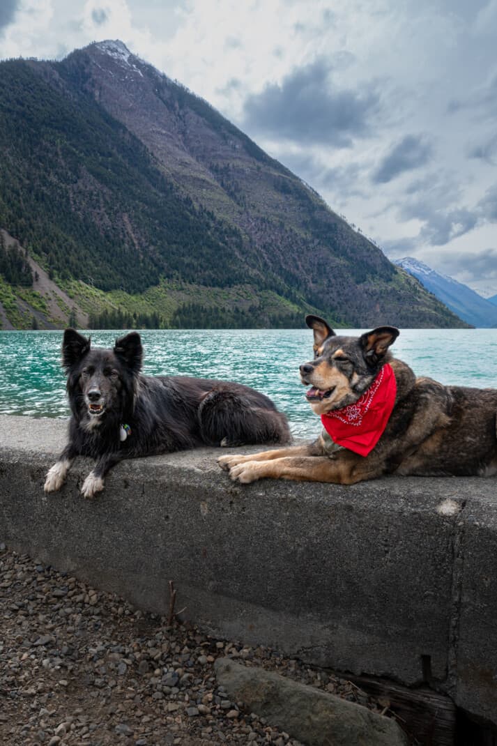 Two happy dogs laying on the beach in Lillooet, BC. Seton Lake, a blue glacial lake with mountains in the background. Dog friendly road trip in British Columbia.