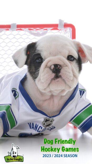 White and black puppy in a hockey jersey