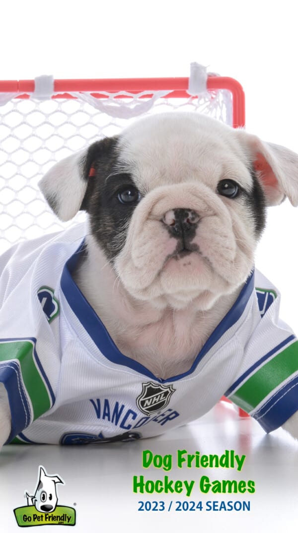 Dog Friendly Hockey Games 2023 2024