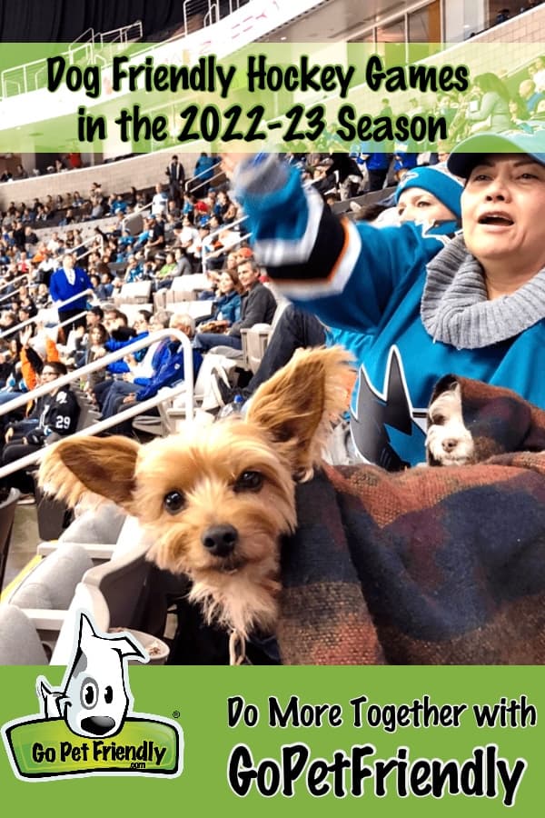 Woman with dogs cheering at hockey game