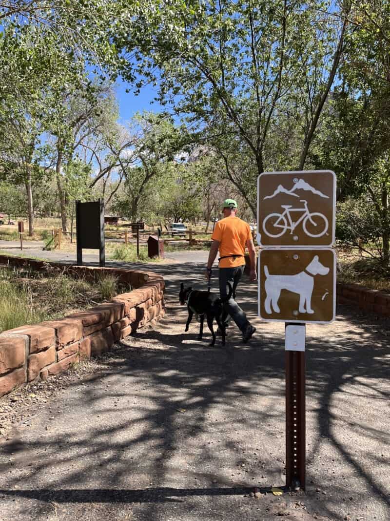 Man walking dog on the pet friendly Pa'rus Trail in Zion National Park, UT 