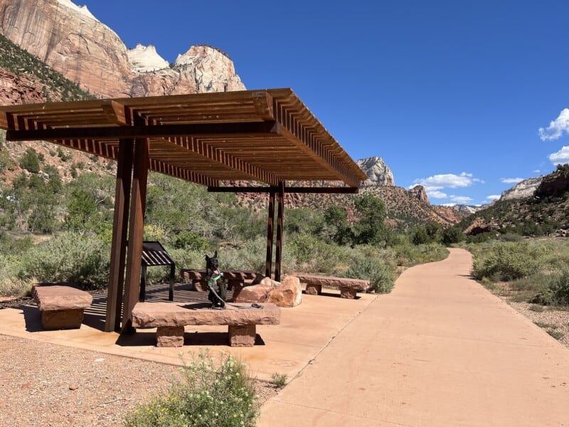 Dog sitting under a shade structure on the Pa'rus Trail in Zion National Park, UT