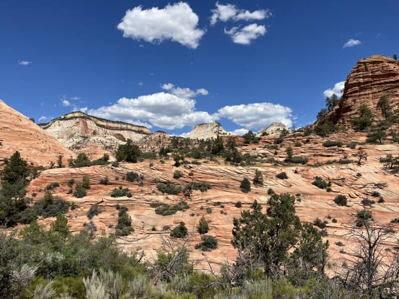 View of red and white rock cliffs at Zion National Park, UT