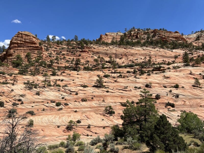 View of red and white rock cliffs at Zion National Park, UT