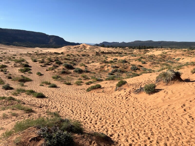 Coral Pink Sand Dunes State Park - Kanab, UT