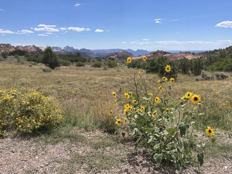 Views from Kolob Terrace Road near Virgin, UT