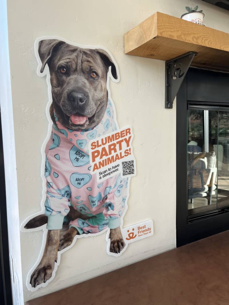 Poster of a grey dog in pajamas hoping for a slumber party at Best Friends Roadhouse and Mercantile in Kanab, UT