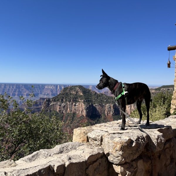 Exploring Southern Utah From Pet Friendly Kanab