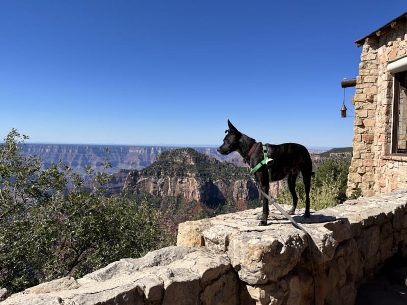 Exploring Southern Utah From Pet Friendly Kanab