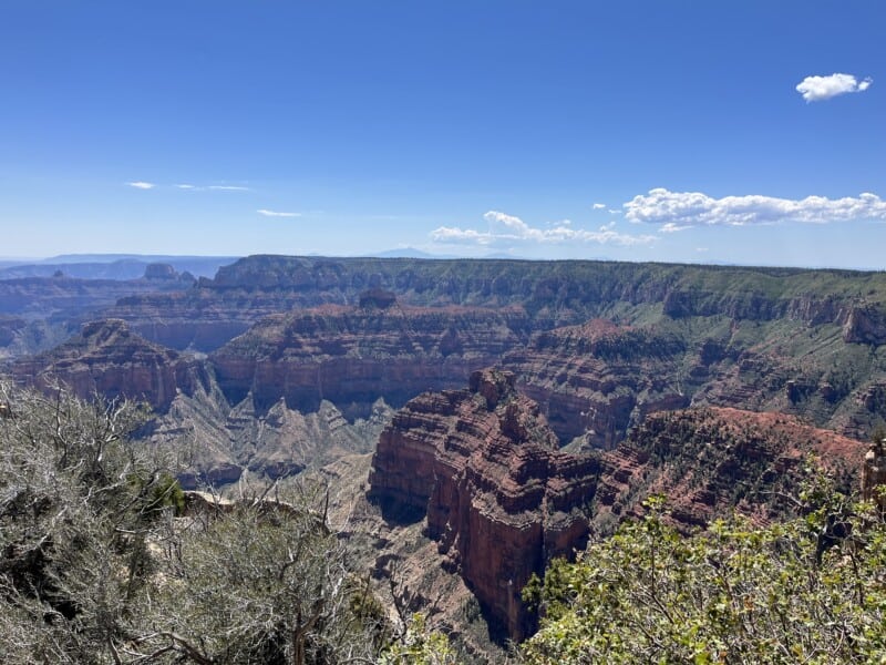 View of the Grand Canyon from the North Rim