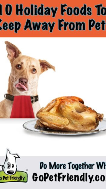 Holiday Foods Dangerous for Pets 2