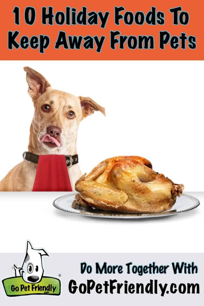 https://www.gopetfriendly.com/blog/wp-content/uploads/2022/11/Holiday-Foods-Dangerous-for-Pets-2.jpg