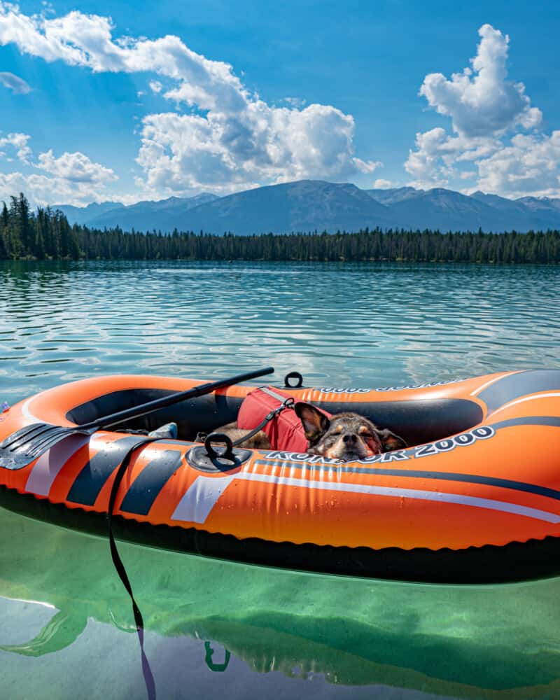 Cattle dog sleeping in an orange inflatable boat on pet friendly Annette Lake in Jasper. The water is beautifully clear.