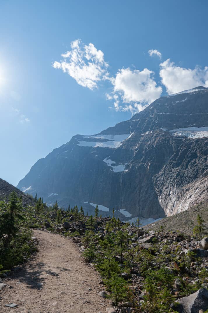 Pet friendly dirt trail curving along for a view of Mount Edith Cavell in Jasper.
