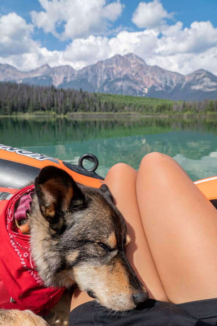 A woman and her dog floating on Patricia Lake in Jasper. He is sleeping with his head in her lap. A purple mountain reflects in to the still lake.
