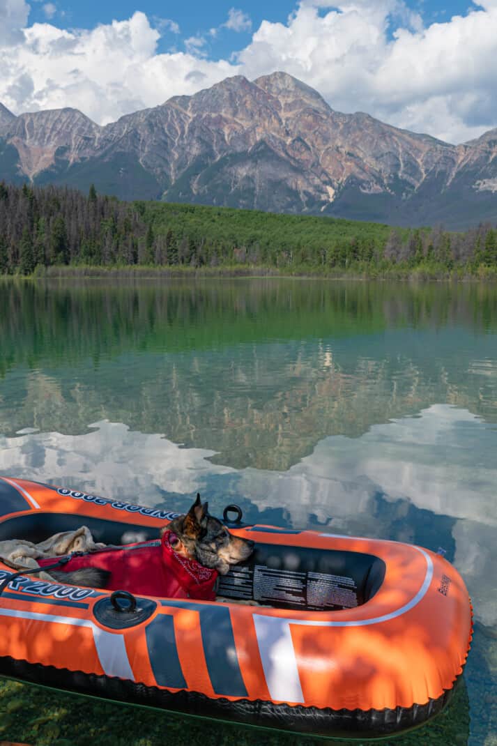 Cattle dog relaxing in a little orange boat floating on dog friendly Patricia Lake in Jasper National Park.