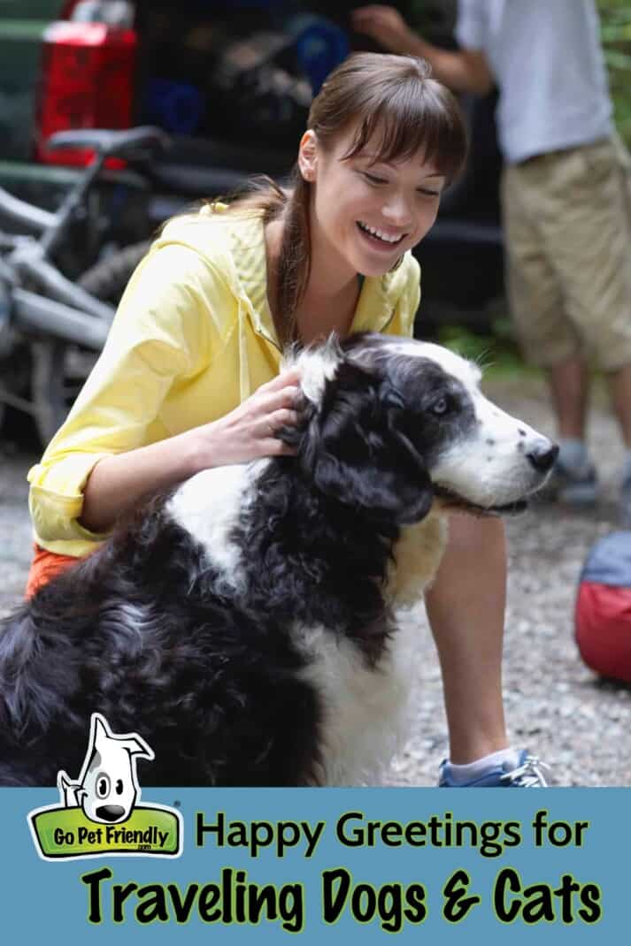 Happy greetings with pets - woman meeting dog outdoors