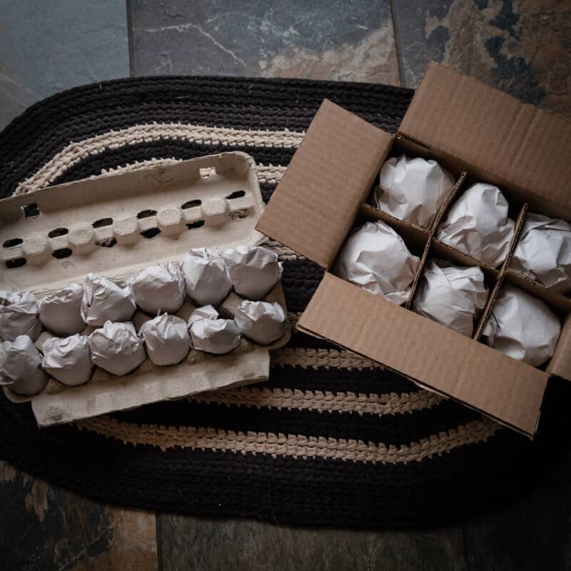 A top down view of a DIY enrichment game for dogs. Treat filled paper eggs set up in a carton and box.