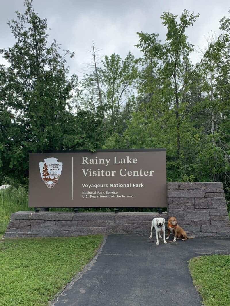 Two pit bulls in front of sign for Voyageurs National Park
