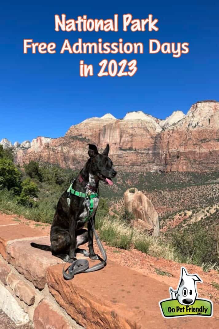 National Park Free Admission Days in 2023 - Dog posing on a rock in Zion National Park