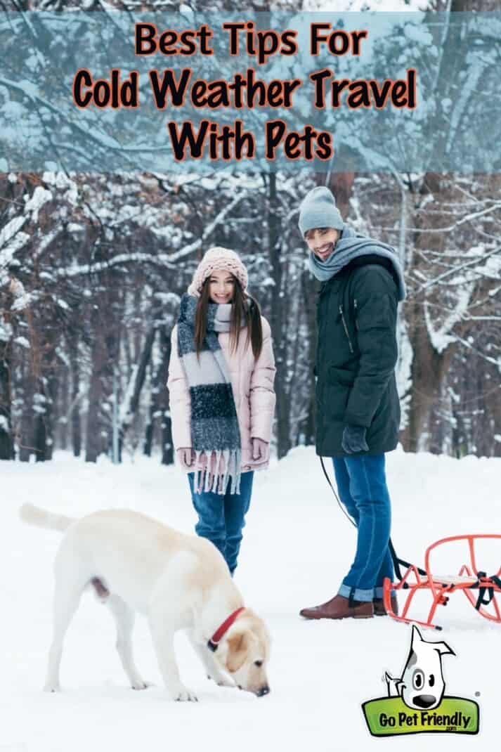 Cold Weather Tips For Travel With Pets