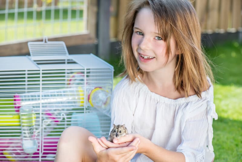 Little girl in yard with hamster in her hands - Traveling with hamsters