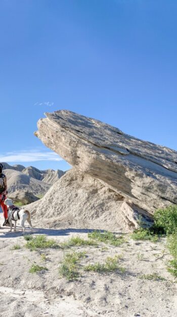 A woman and two pit bulls posing neat a large rock formation in Toadstool Geologic Park, Nebraska