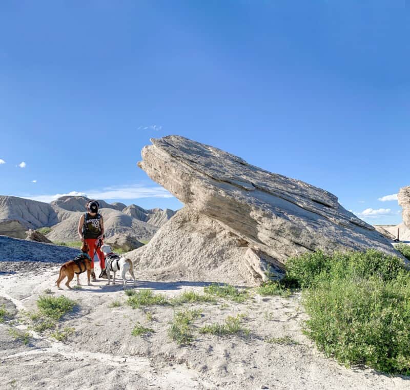 A woman and two pit bulls posing neat a large rock formation in Toadstool Geologic Park, Nebraska