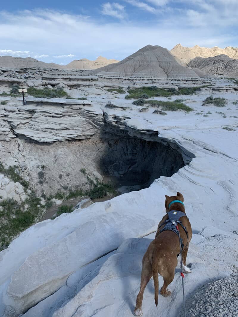 A brown pit bull hiking along a ridge of a large cavern in the badlands at Toadstool Geologic Park
