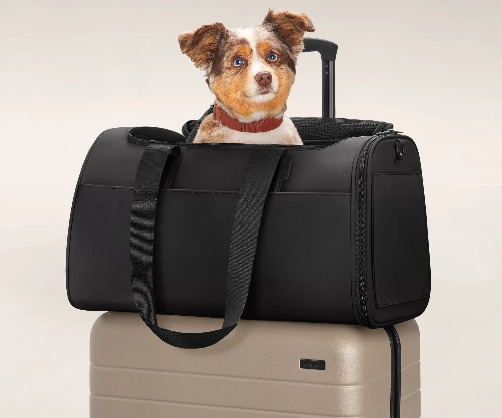 NAT Dog Carrier Cat Carrier Pet Carrier, Airline Approved Dog