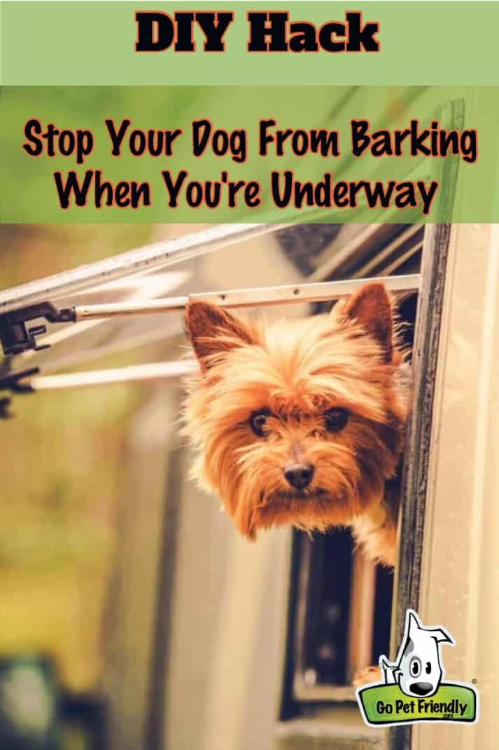 Yorkie looking out RV window - DIY Hack for dog barking in RV