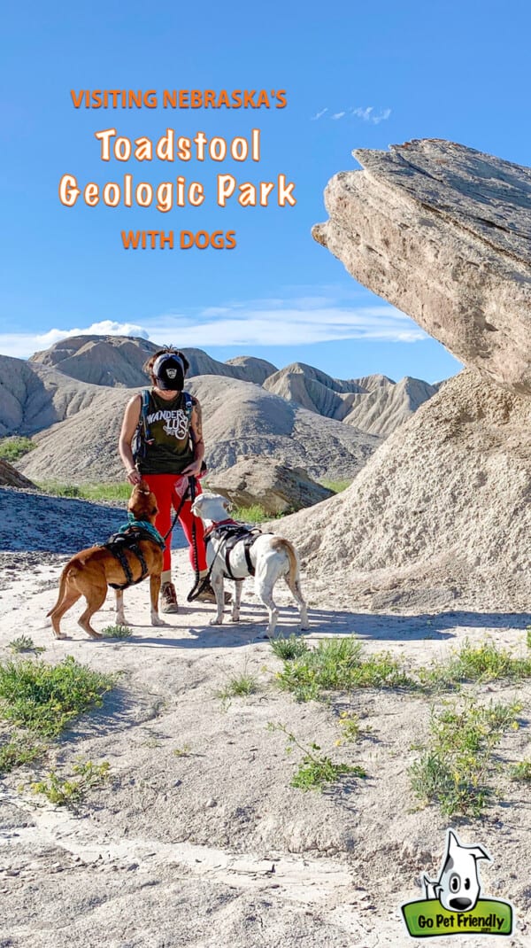 Woman with two dogs at Toadstool Geologic Park in Nebraska