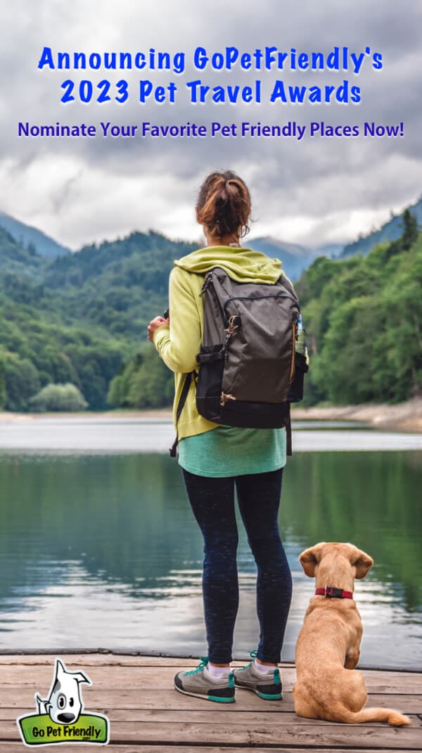 Woman and dog looking out over a lake from the dock