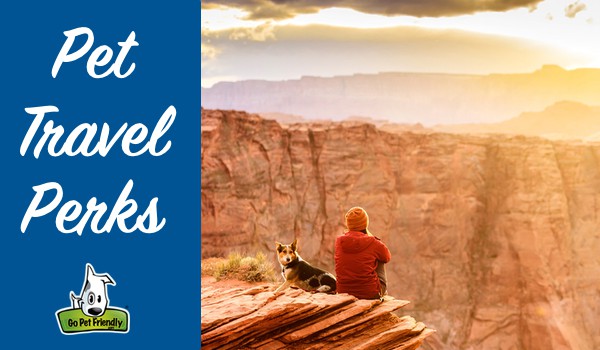 Heading image for Pet Travel Perks page - Woman and dog sitting on a rock at a canyon during sunset