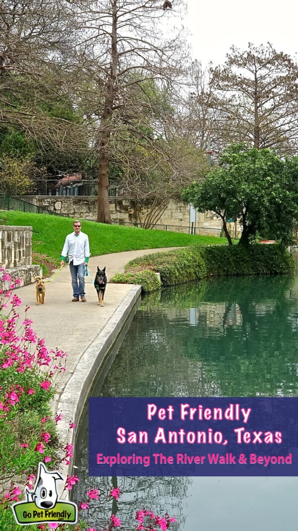 A man walks two dogs on the pet-friendly Riverwalk in San Antonio, Texas