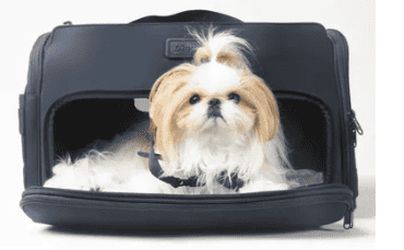 Small dog in a Diggs Products Passenger Travel Carrier