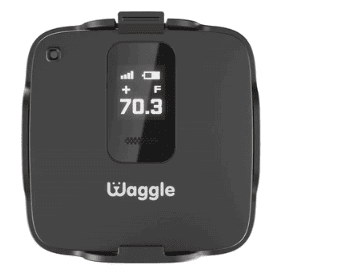 Waggle Pet Temperature Monitor