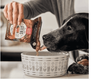 Dog licking The Honest Kitchen Dog Food