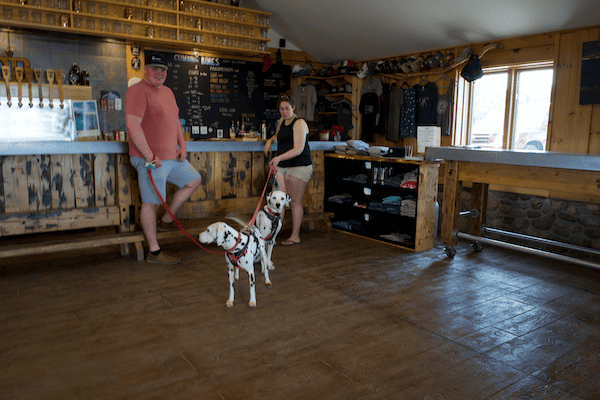 Couple with dalmatians on leash - Finger Lakes Wine Country