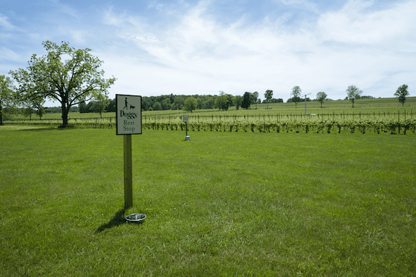 Doggy Rest Stop Sign