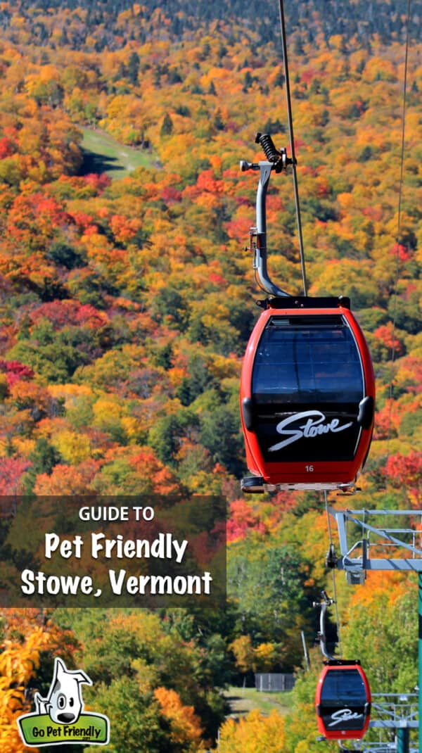Pet friendly gondola in Stowe, Vermont with autumn colors in the background