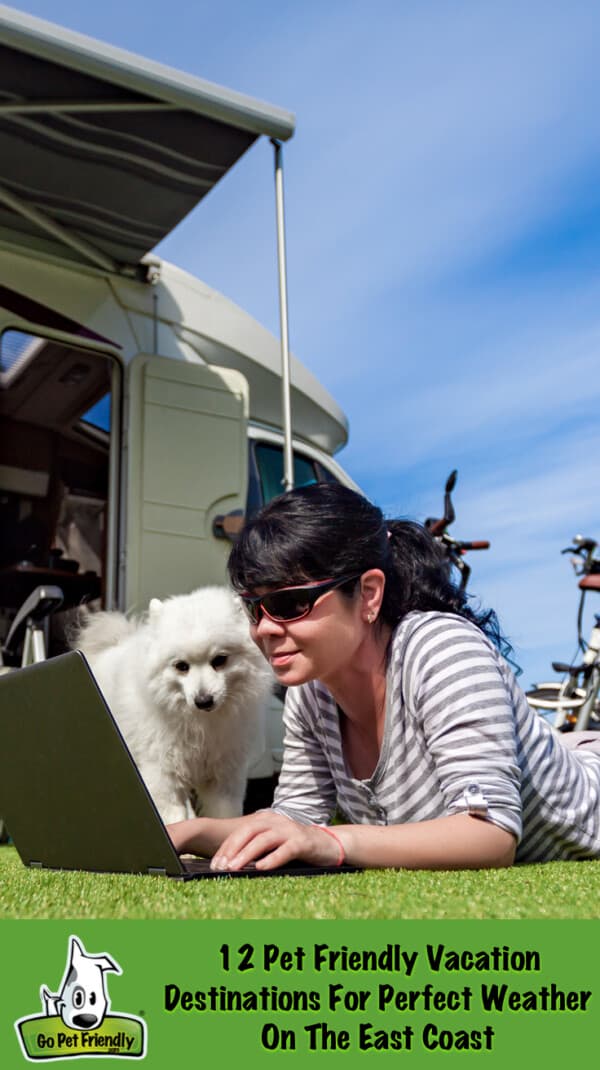 Happy woman and dog looking at a computer in front of an RV
